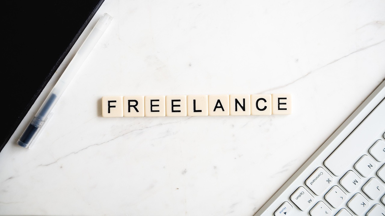 freelance programmer